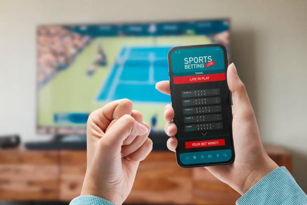 Toto Verification A Game-Changer in Sports Betting Reviews